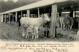 Landwirtschaft - HANNOVER LANDWIRTSCHAFTLICHE AUSSTELLUNG Mit Klarem S-o V. 23.6.1903 - Ecke Gestoßen I-II Paysans - Tentoonstellingen