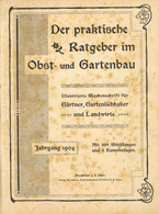 Landwirtschaft Buch Der Praktische Ratgeber Im Obst Und Gartenbau Gebundene Zeitschrift Jahrgang 1904 Verlag Trowitsch & - Ausstellungen