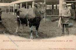 Landwirtschaft Frankfurt (6000) Dreizehnte Wanderausstellung I-II Paysans - Tentoonstellingen