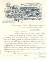 Wein Bourgeois Freres & Cie. Bole Schön Illustrierter Brief 1909 I-II Vigne - Tentoonstellingen