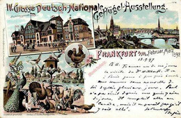 GEFLÜGEL - FRANKFURT/Main - IV. Grosse Deutsch-Nationale GEFLÜGEL-AUSSTELLUNG 1897 I-II - Hunde