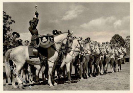 SS WK II - UNSERE WAFFEN-SS - Trompeterkorps Einer SS-Kavaleriedivision I - Guerra 1939-45