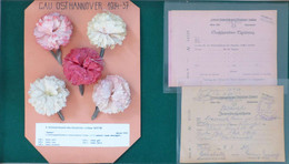 WHW Abzeichen Gau 24 Ost-Hannover 5 Stück Und 3 Dokumente I-II - War 1939-45