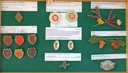 WHW Abzeichen Gau 29 Schleswig Holstein 17 Stück I-II - Guerre 1939-45