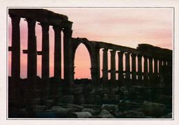 A4560- Syrie La Grande Colonnade De Palmyre, The Great Colonnade Of Palmyra, Ancient Architecture Syria - Syrie