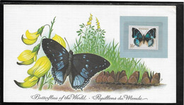 Thème Papillons - Rwanda - Document - TB - Butterflies