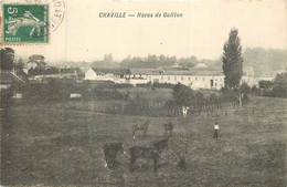 CHAVILLE Haras De Gaillon - Chaville