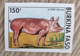 BURKINA FASO Cochons, Cochon , Porcs, Porc Sangliers, Yvert N° 902 Non Dentéle ,imperforate (MNH **) - Hoftiere