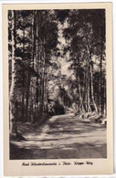 AK Bad Klosterlausnitz 1956 (Al01) - Bad Klosterlausnitz