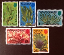 Falkland Islands 1979 Kelp Seaweed MNH - Altri