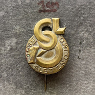 Badge Pin ZN010324 - Gymnastics Sokol Czechoslovakia Znojmo 1936 - Gymnastique