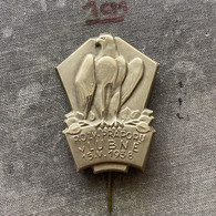 Badge Pin ZN010346 - Gymnastics Sokol Czechoslovakia Lubne 1938 - Gymnastique