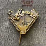 Badge Pin ZN010369 - Gymnastics Sokol Czechoslovakia Zupa Plukovnika Svece Trebic 1947 - Gymnastique