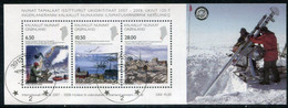 GREENLAND 2008 Polar Year And Scientific Anniversaries Block Used.   Michel Block 42 - Used Stamps