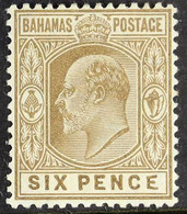 1911 6d Bistre-brown, Wmk Mult Crown CA, Variety "MALFORMED "E", SG 74a, Very Fine Lightly Hinged Mint. For More Images, - Other & Unclassified