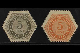 TELEGRAPHS 1879 5c Grey And 5c Pale Red On Medium Paper, Cob TG8 And TG9a, Never Hinged Mint, 5c Grey With Light Crease. - Autres & Non Classés