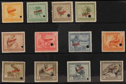 BELGIAN CONGO 1923 Pictorial Set, COB 106/117, Superb Never Hinged Mint With "SPECIMEN" Overprints And Security Punch Ho - Altri & Non Classificati