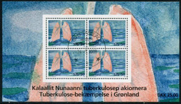 GREENLAND 2008 Tuberculosis Campaign Block Used.   Michel Block 41 - Gebraucht