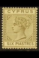 1892-94 6pi Olive-grey Die II, SG 36, Fine Mint, Lovely Fresh Colour. For More Images, Please Visit Http://www.sandafayr - Autres & Non Classés