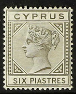 1892-94 6pi Olive-grey Die II, SG 36, Fine Fresh Mint. For More Images, Please Visit Http://www.sandafayre.com/itemdetai - Autres & Non Classés