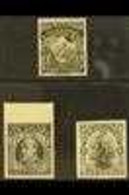 1898-1909 IMPERF PROOFS A Fine Group Printed In Black On Ungummed Paper, With 1898 ½d Mount Cook, SG Type 23, 1909 ½d Ed - Altri & Non Classificati