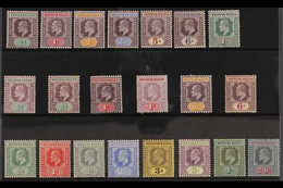 1902-1911 KEVII MINT COLLECTION Presented On A Stock Card That Includes 1902 CA Wmk Range With Most Values To 1s, 1905-0 - Nigeria (...-1960)