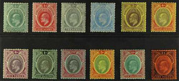 1907-11 KEVII Definitives Complete Set, Wmk Mult Crown CA, SG 33/44, Very Fine Lightly Hinged Mint. Lovely! (12 Stamps)  - Nigeria (...-1960)