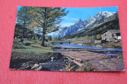 Aosta Courmayeur  Val Ferret 1966 - Other & Unclassified
