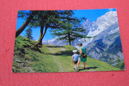 Aosta Courmayeur Planpincieux 1979 Animata - Other & Unclassified