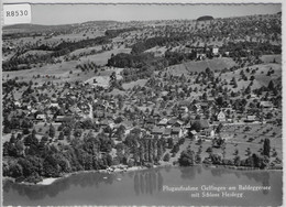 Flugaufnahme Gelfingen Am Baldeggersee Mit Schloss Heidegg - Gelfingen