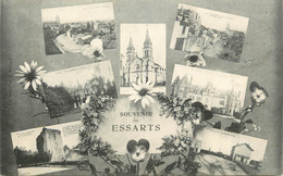 CPA FRANCE 85 "Les Essarts, Vues" - Les Essarts