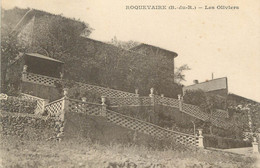 CPA FRANCE 13 " Roquevaire, Les Oliviers" - Roquevaire