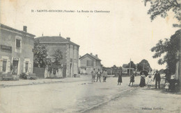 CPA FRANCE 85 "Ste Hermine, La Route De Chantonnay" - Sainte Hermine