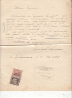 ISTITUTO SPERIMENTALE ZOOTECNICO  1924 - Corrispondenza -.- - Manuscripts