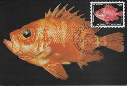 Thème Poissons - Nouvelle Calédonie - Carte Maximum - TB - Fishes