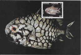Thème Poissons - Nouvelle Calédonie - Carte Maximum - TB - Fishes