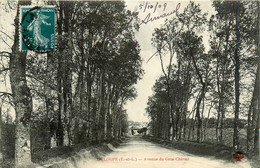 La Loupe * Avenue Du Gros Chêne - La Loupe