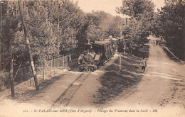 17-SAINT-PALAIS-SUR-MER- PASSAGE DU TRAMWAY DANS LA FORÊT - Saint-Palais-sur-Mer