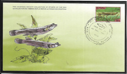 Thème Poissons - Guyane - Document - TB - Fishes