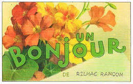 87 UN BONJOUR  DE RILHAC  RANCON   CPM  TBE  VR951 - Rilhac Rancon