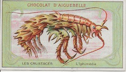 Chromo Aiguebelle Les Crustacés 10,5 X 6 - L'Iphimédia - Aiguebelle