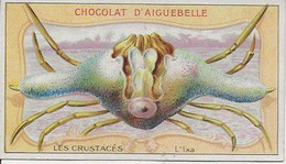 Chromo Aiguebelle Les Crustacés 10,5 X 6 - L'Ixa - Aiguebelle