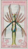Chromo Aiguebelle Les Crustacés 10,5 X 6 - Le Leptodore - Aiguebelle