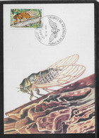 Thème Insectes - France - Carte Maximum - TB - Other & Unclassified