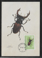 Thème Insectes - Pologne - Carte Maximum - TB - Autres & Non Classés