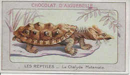 Chromo Aiguebelle Les Reptiles 10,5 X 6 - Le Chélyde Matamata - Aiguebelle