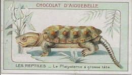 Chromo Aiguebelle Les Reptiles 10,5 X 6 - Le Platysterne à Grosse Tête - Aiguebelle