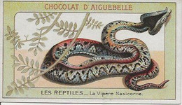 Chromo Aiguebelle Les Reptiles 10,5 X 6 - La Vipère Nasicorne - Aiguebelle