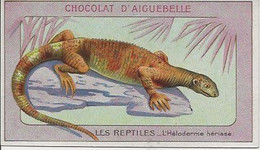 Chromo Aiguebelle Les Reptiles 10,5 X 6 - L'Héloderme Hérissé - Aiguebelle