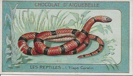 Chromo Aiguebelle Les Reptiles 10,5 X 6 - L'Elaps Coralin - Aiguebelle